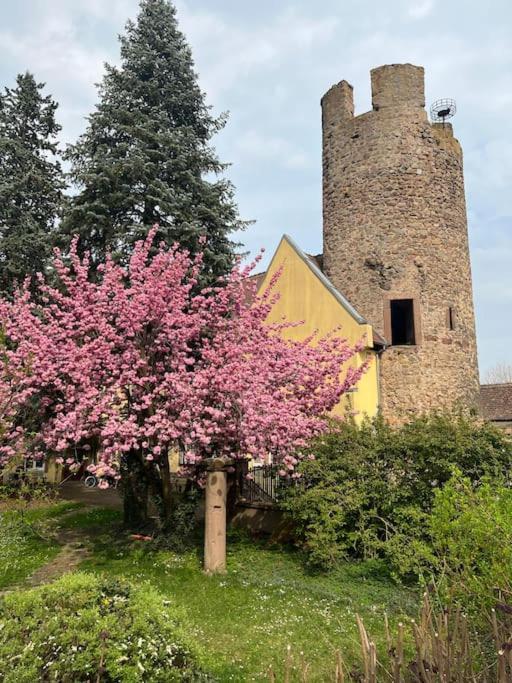 קייסרסברג La Jolie Maison Bleue, Au Coeur De L'Alsace מראה חיצוני תמונה