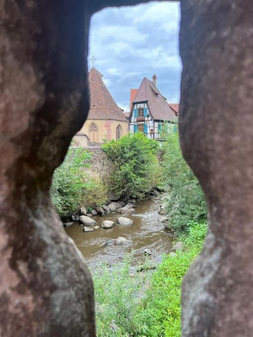 קייסרסברג La Jolie Maison Bleue, Au Coeur De L'Alsace מראה חיצוני תמונה